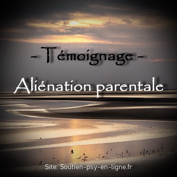 Aliénation parentale : enfants armes fatales - Témoignage